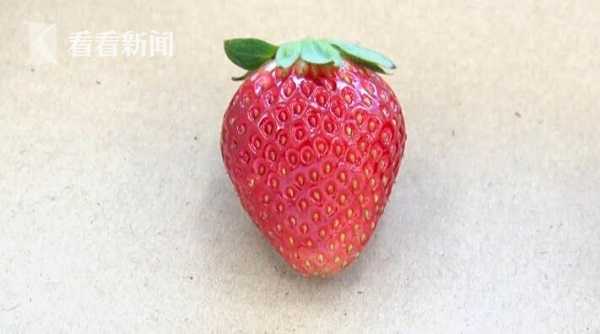 体罚视频 体罚视频影响可能伴随一生海报