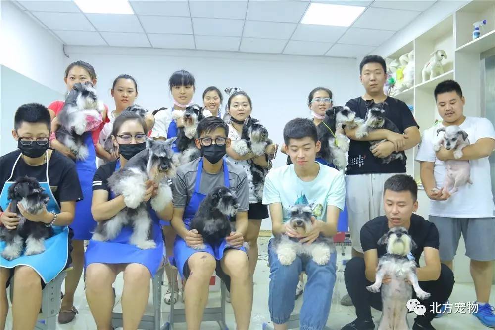 无畏奇缘 故事的无畏奇缘核心魅力在于