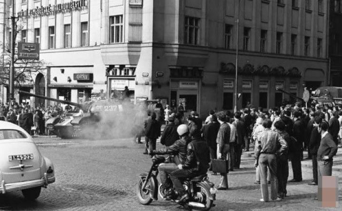 成人一区二区免费视频播放海报