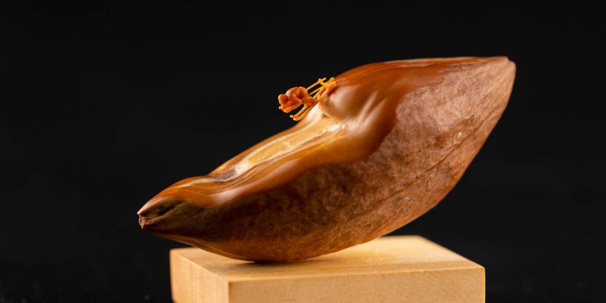 黑料不打烊路线一海报