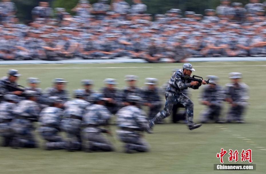 小马拉大车篮球海报