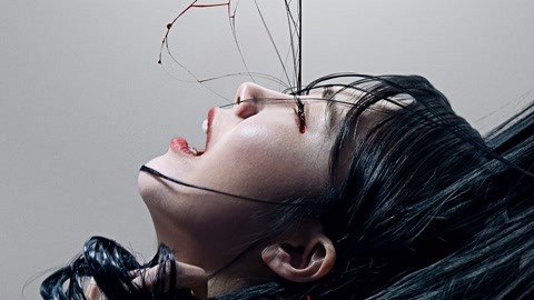 精品二区一国产vA在线观看海报