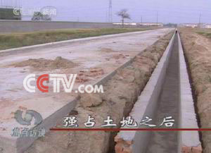 小马大车3d海报