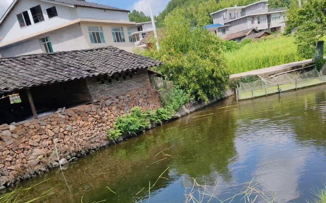 亚洲国产手机在线无码 亚洲秒加载无码内容海报