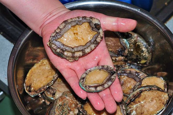 裸舞寸止 我还没有学会回答这个问题