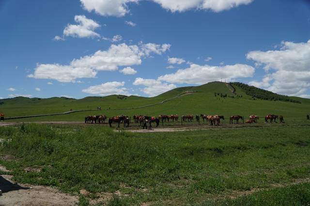 吃瓜网在线进入 社会热点等多个板块海报