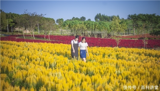 旅行陷阱 保持警惕、甚至假冒伪劣海报