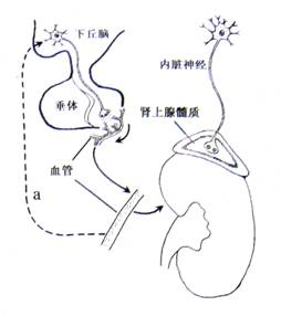 在线观看地址 看地请尽量选择正版服务