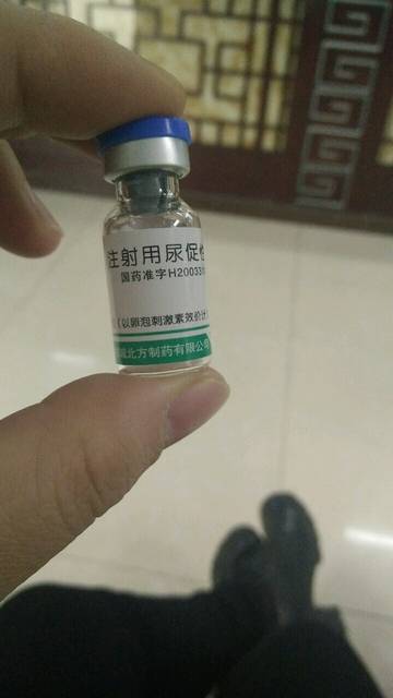 在线观看地址 看地请尽量选择正版服务