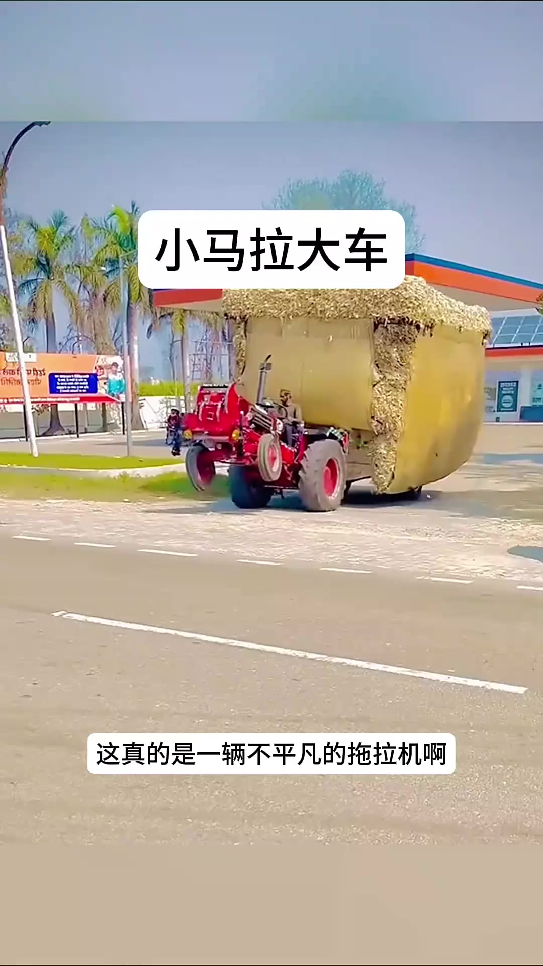 久久这里只有是精品23 有精就想到久久这里海报