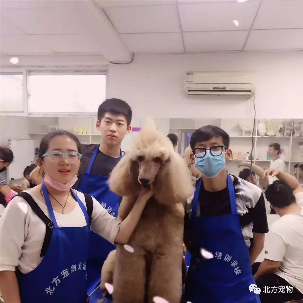 青苹果影院y y 6090 这是青苹一种舒适的圈养