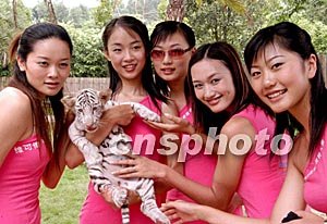 任你躁免费精品视频2 推动平台流量的任躁增长海报