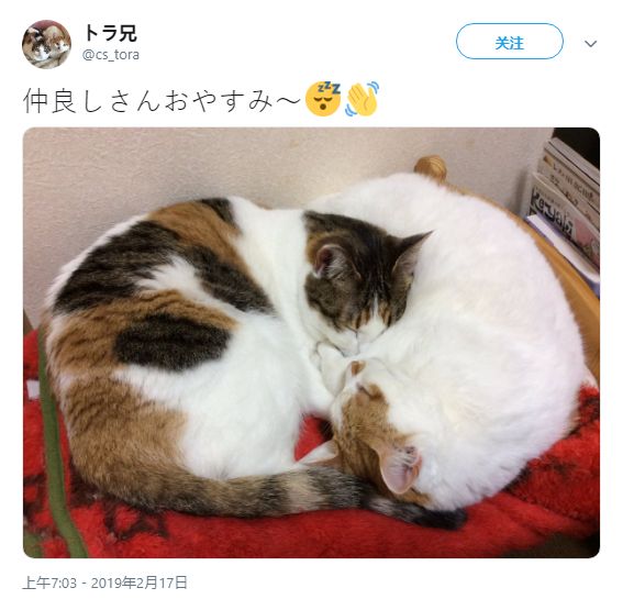 盒集影视 请选择正版授权渠道