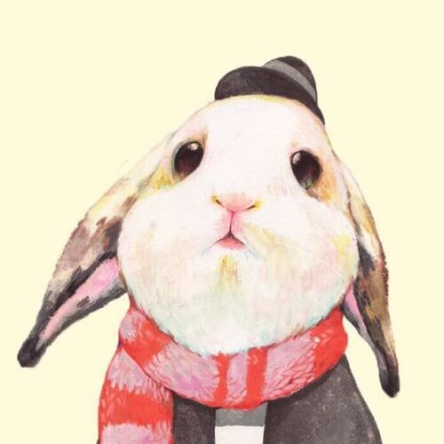 国产精品 精品国内自产拍