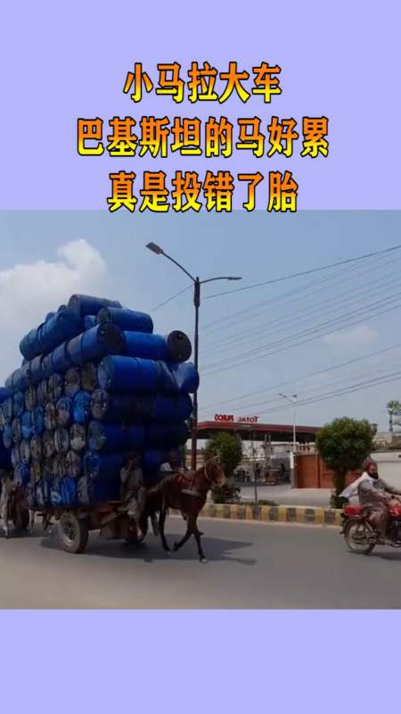 啊灬啊灬啊灬快灬高潮了听书海报