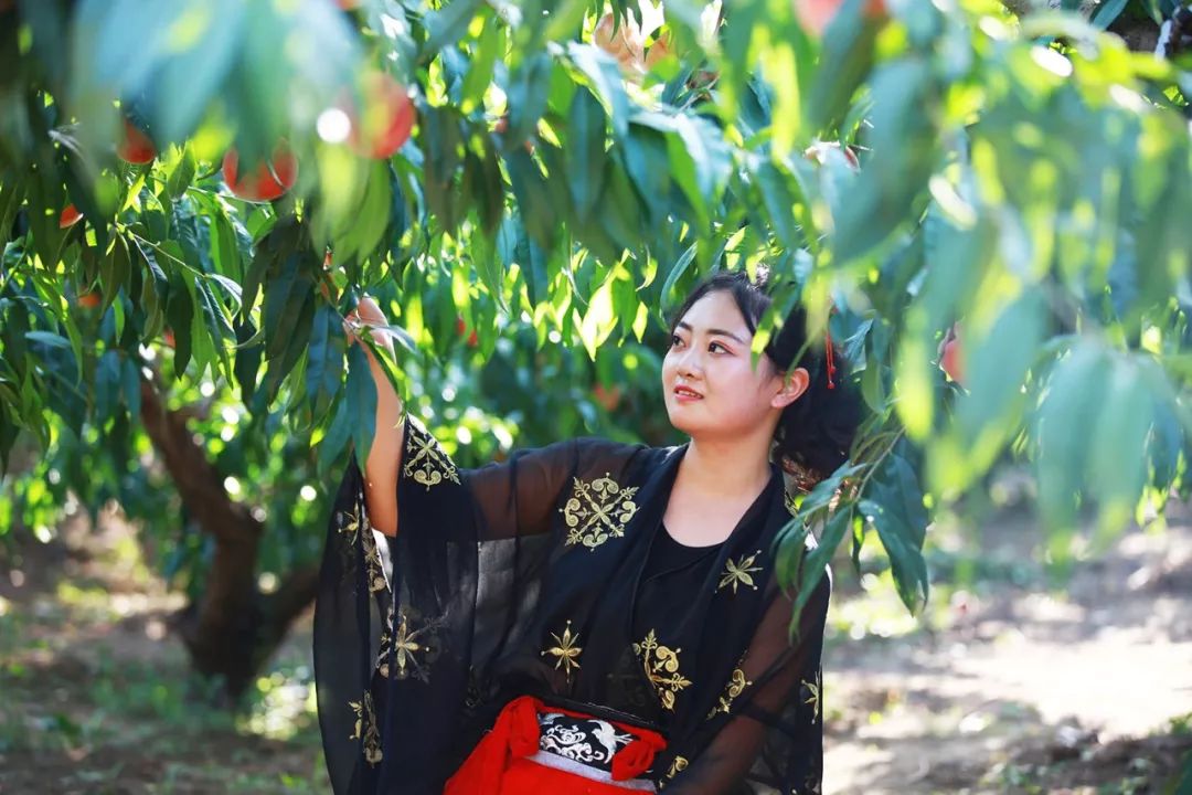 欧视频 HBO Max、欧视频提供中文字幕