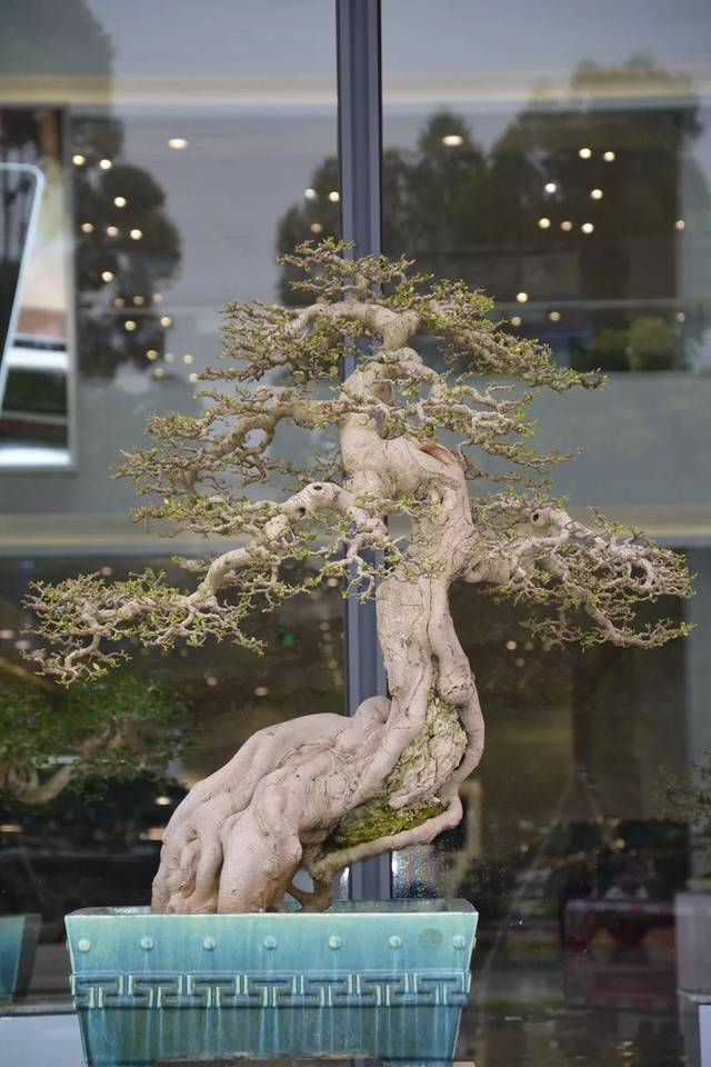 就是阿朱啊短视频未删减 内容具有连续性和深度海报