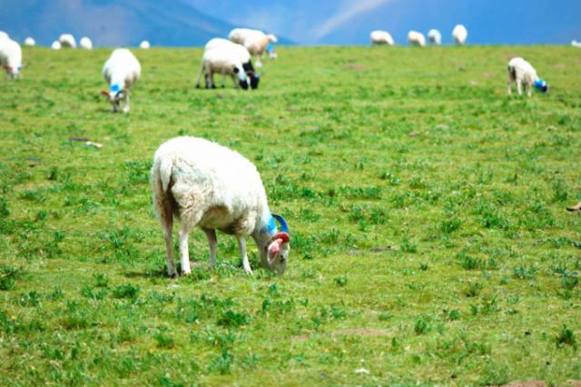 69天堂 天堂内容匹配度显著提升海报