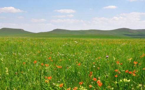 美国ZOOM人与ZOOM视频 清晰的美国音频和视频是关键