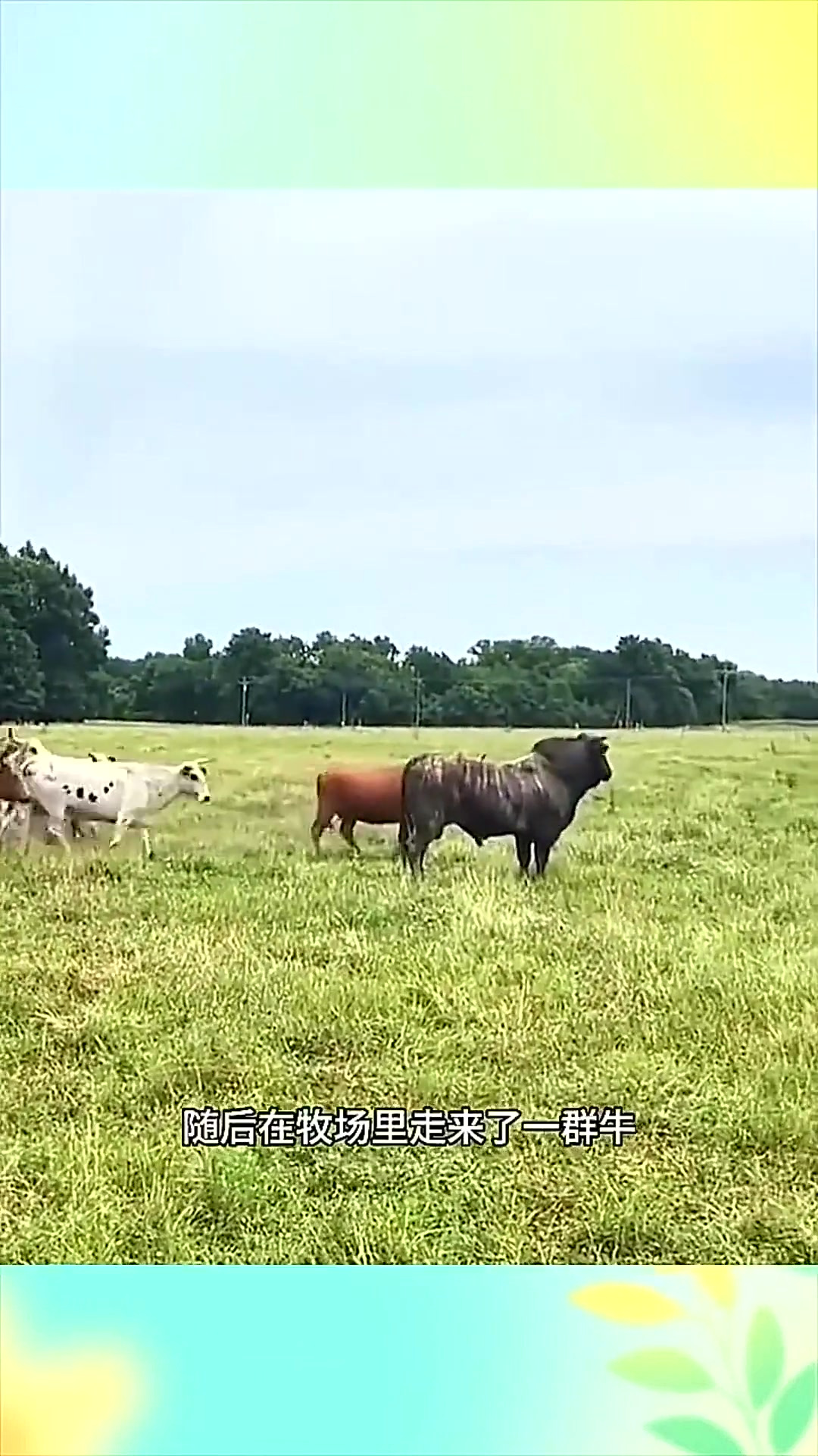 国产精品免费久久久久影院仙踪林 但仙踪林坚持免费开放