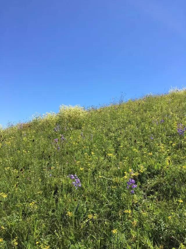 主播视频在线海报