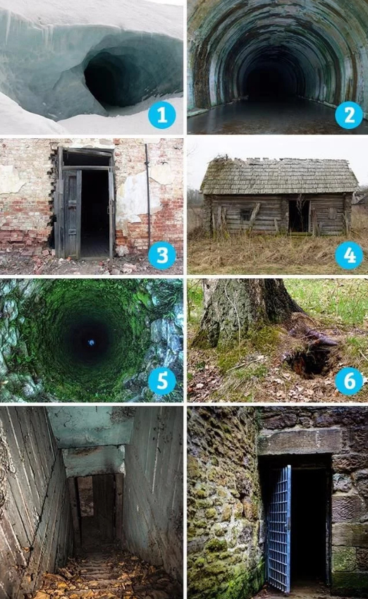 火影动漫 同时追寻佐助的踪迹