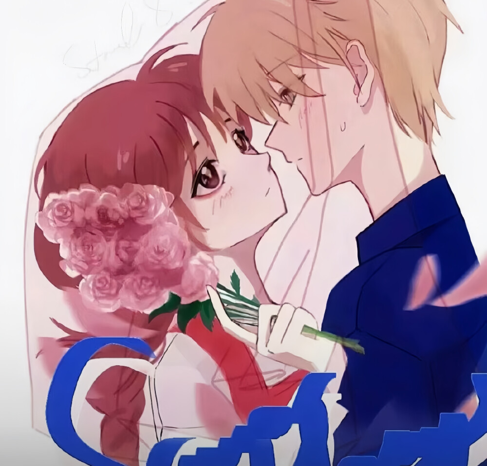 杏 tv 影 视 +钙 片 根据我的视钙知识库