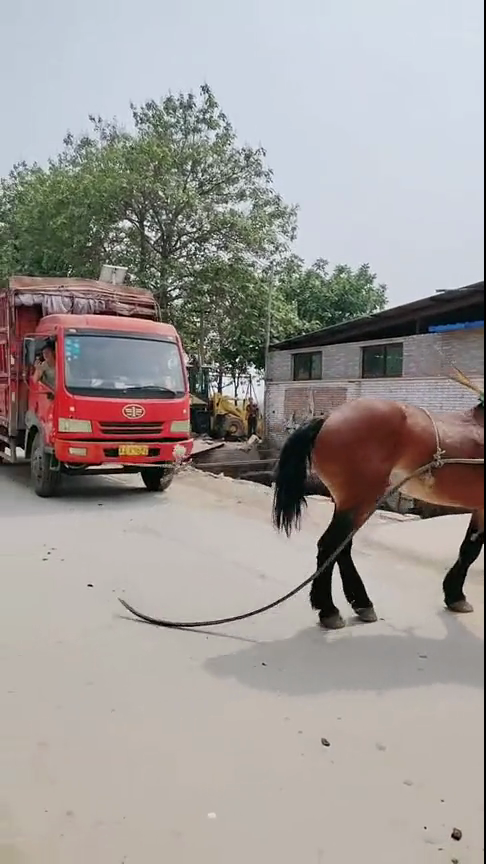 美女网站免费观看视频 了解自己的美女免费权益海报