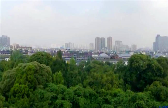 未成年黑了 在专业人士指导下学习