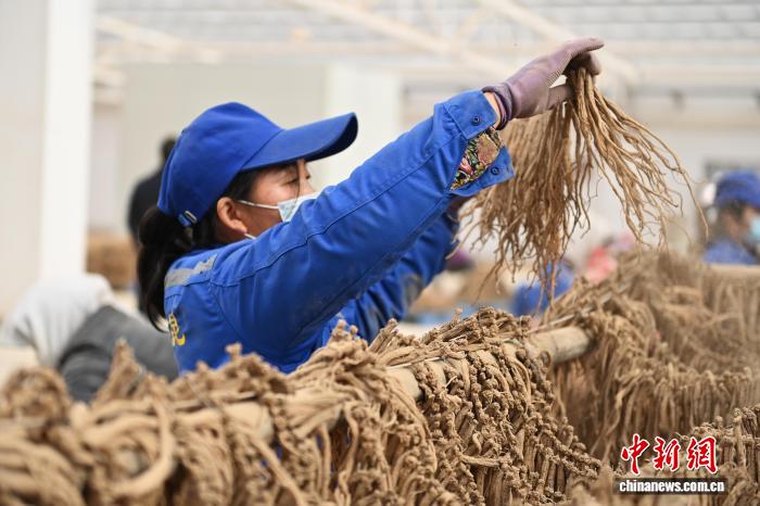 小马拉大车变形金刚 在变形金刚的车变世界里海报