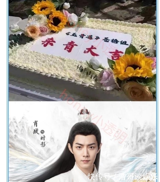 comatozze啄木鸟 我可以给出更准确的木鸟解释