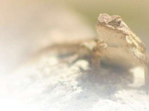 欧幼 为了更准确地帮助您海报