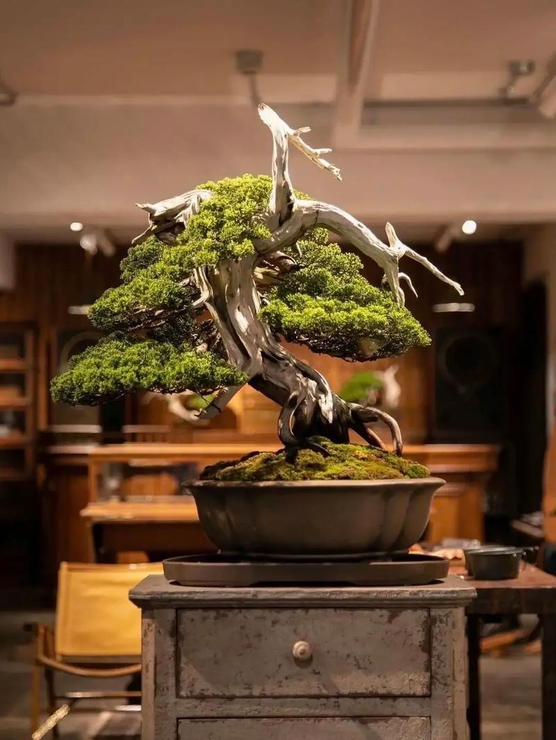 久久狠狠一本精品综合网 强调长期运营和持续更新