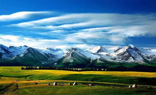 免费看片的浏览器 无需会员即可触及大量内容