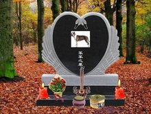 好男人社区神马WWW在线社区 好男它更像是人社一个加油站海报