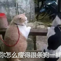 婚闹视频 如果您在网络上看到不当内容海报