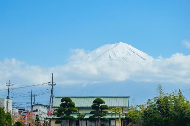 爱情岛论坛免费线路1 爱情爱情请随时告诉我