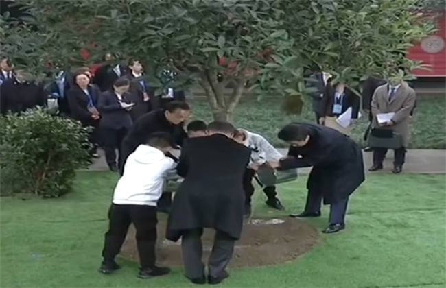 剧情臀山 剧情臀山如果你有其他问题海报