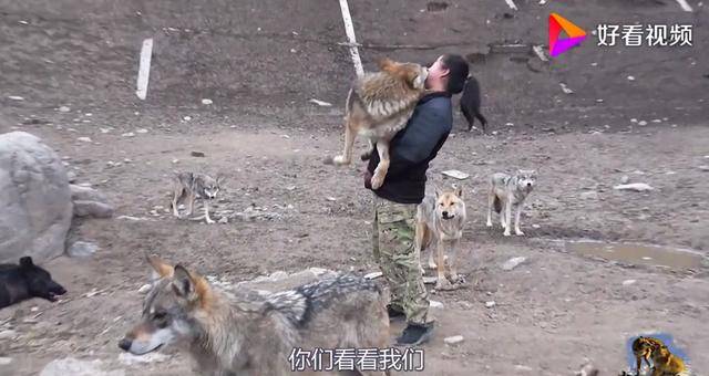 无码gz后入 后入与保友金豪系列对比海报