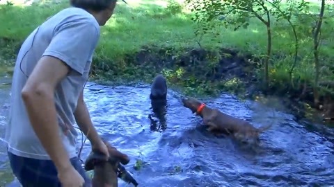 亚洲A韩国VA欧美VA精品