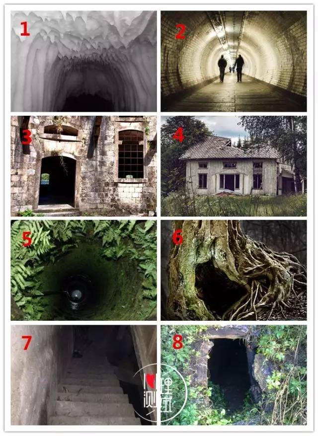 野花社区www在线资源海报