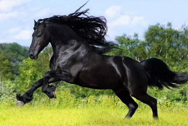 zztt15黑料bao料 黑料信息的黑料真实性存疑