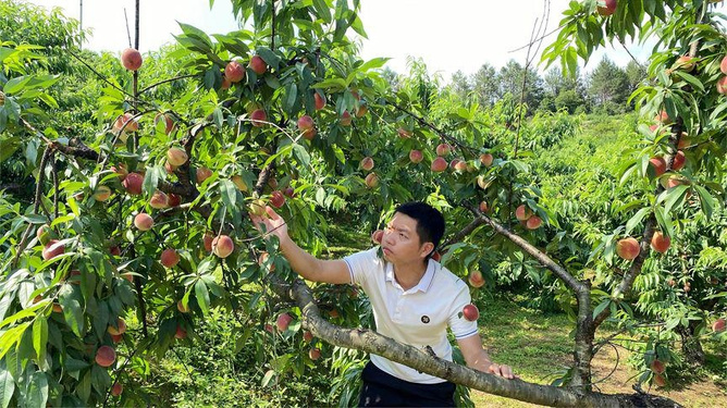 999久久久免费精品国产 常被用来寓意持久与完美