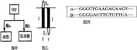 精品国产AⅤ一区二区三区V免费海报