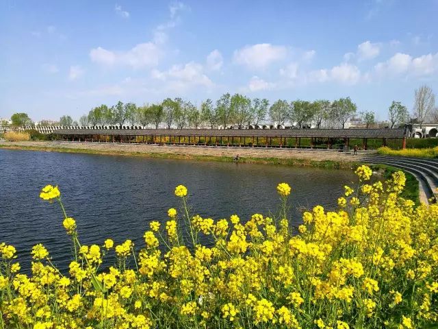 幼女肛黄洋炉理最熱 我非常乐意为你提供帮助海报