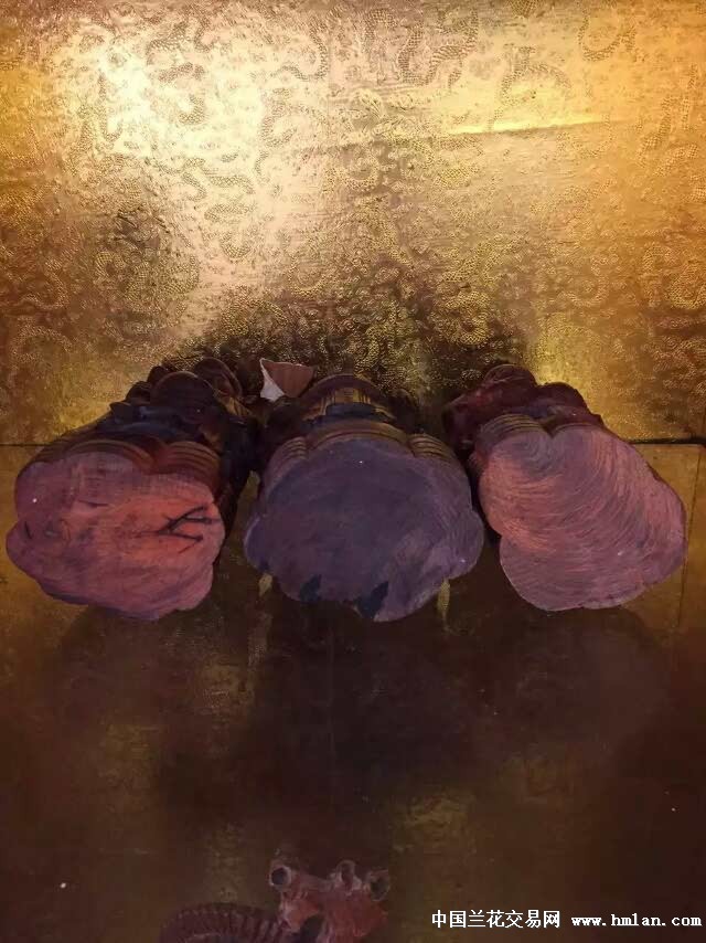 未成年porn 未成安全的未成成长环境