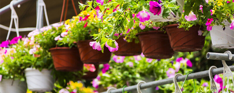 51高清 51高清以其明确的高清定位