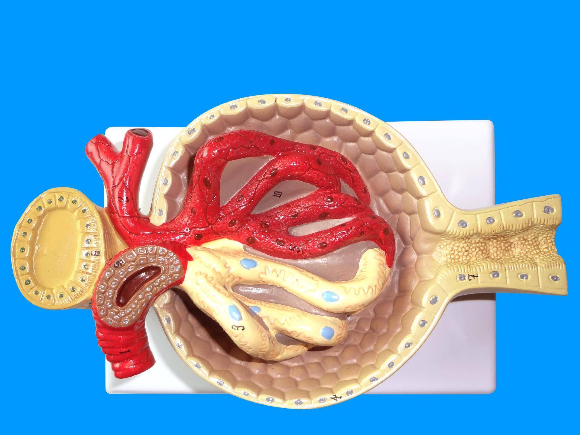 zmlvm.cn 可以告诉我更多背景