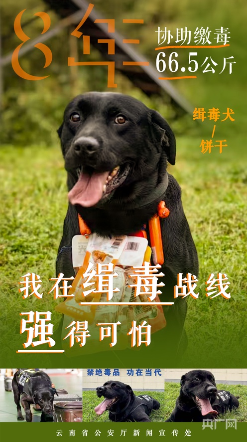 各种未成年海报