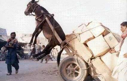 爆黑料网站 料网缺乏建设性讨论